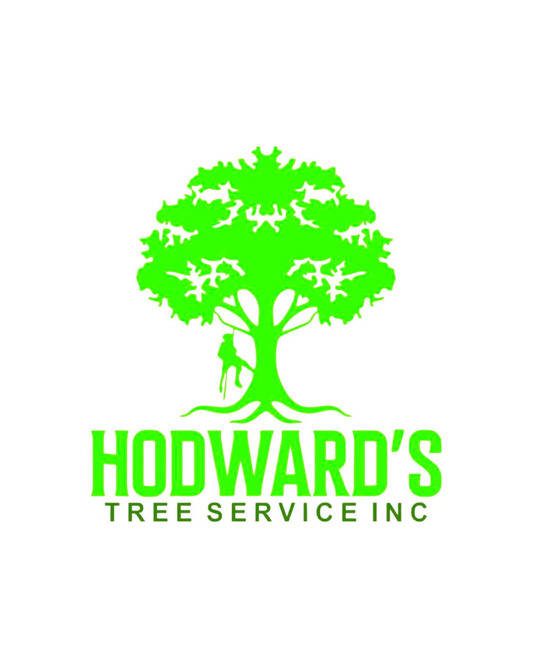 Minimalist Mountain Mobile Video (5)